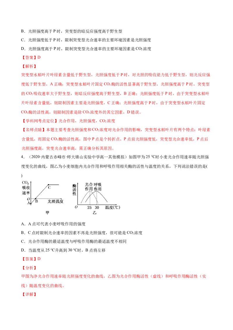 解密07光合作用和呼吸作用的联系及应用（分层训练）（解析版）_新高考复习资料_2021年新高考资料_高频考点解密2021年高考生物二轮复习讲义+分层训练4.7更新