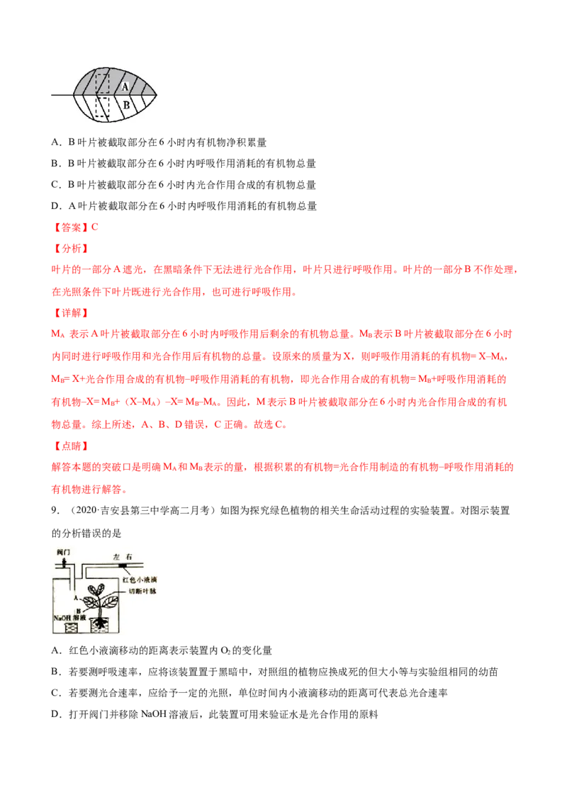 解密07光合作用和呼吸作用的联系及应用（分层训练）（解析版）_新高考复习资料_2021年新高考资料_高频考点解密2021年高考生物二轮复习讲义+分层训练4.7更新