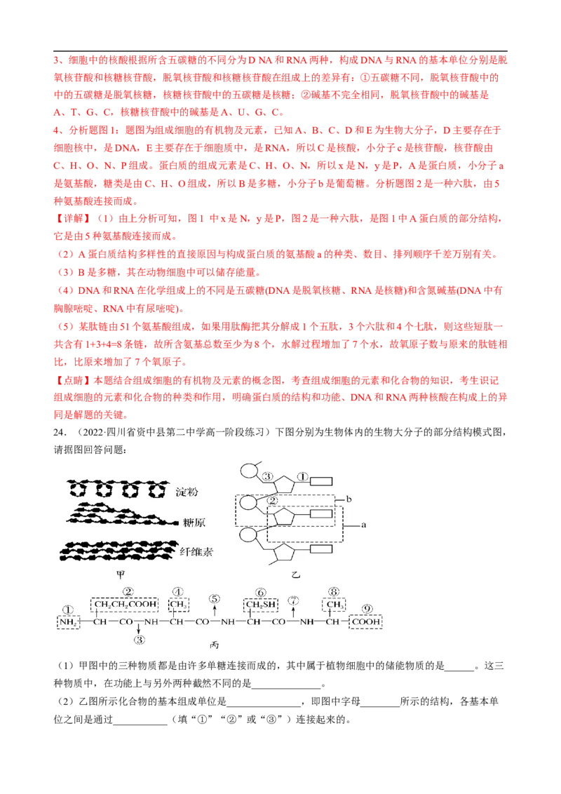 解密01组成细胞的元素与化合物（分层训练）（解析版）_通用版（老高考）复习资料_2023年复习资料_二轮复习_高频考点解密2023年高考生物二轮复习讲义+分层训练（全国通用）