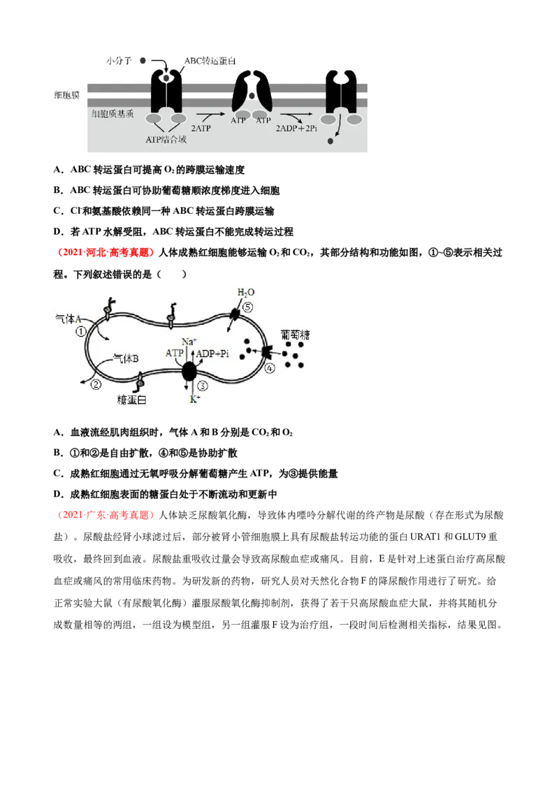 解密03细胞的物质输入和输出（讲义)（学生版）_通用版（老高考）复习资料_2023年复习资料_二轮复习_高频考点解密2023年高考生物二轮复习讲义+分层训练（全国通用）