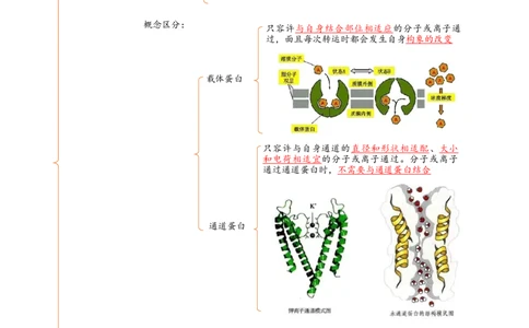 解密03细胞的物质输入和输出（讲义)（学生版）_通用版（老高考）复习资料_2023年复习资料_二轮复习_高频考点解密2023年高考生物二轮复习讲义+分层训练（全国通用）