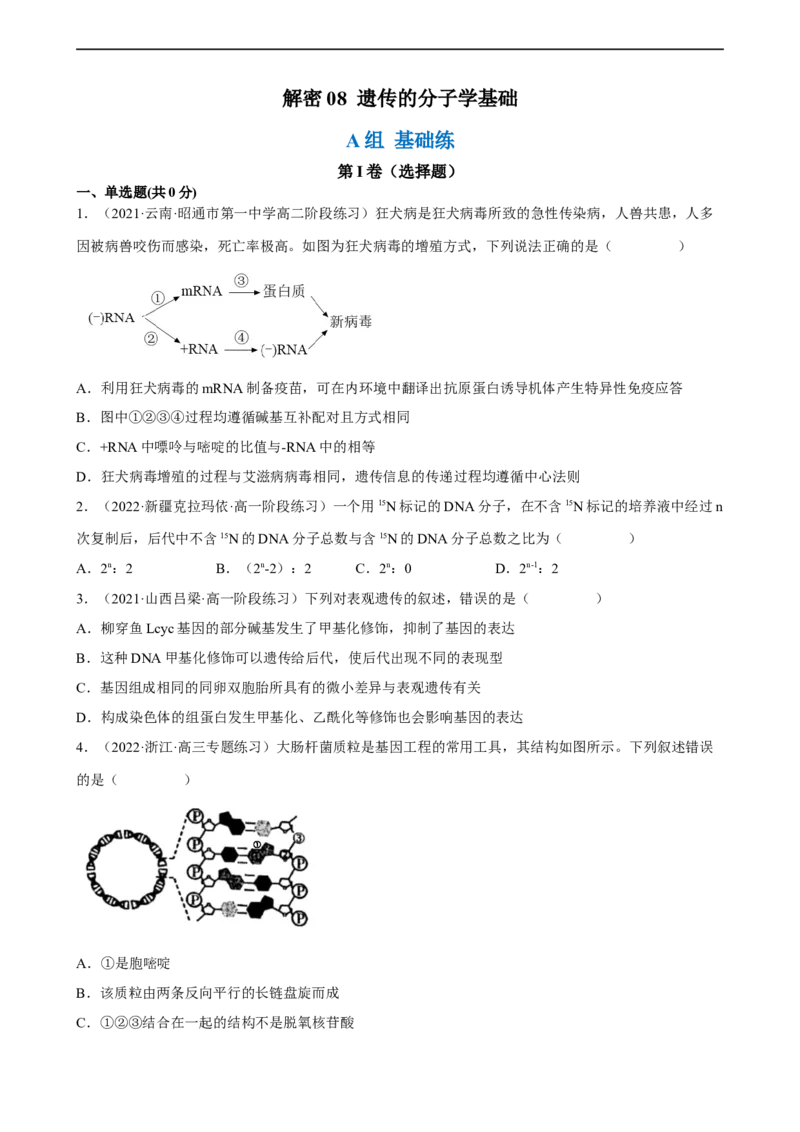 解密08遗传的分子学基础（分层训练)（原卷版）_通用版（老高考）复习资料_2023年复习资料_二轮复习_高频考点解密2023年高考生物二轮复习讲义+分层训练（全国通用）