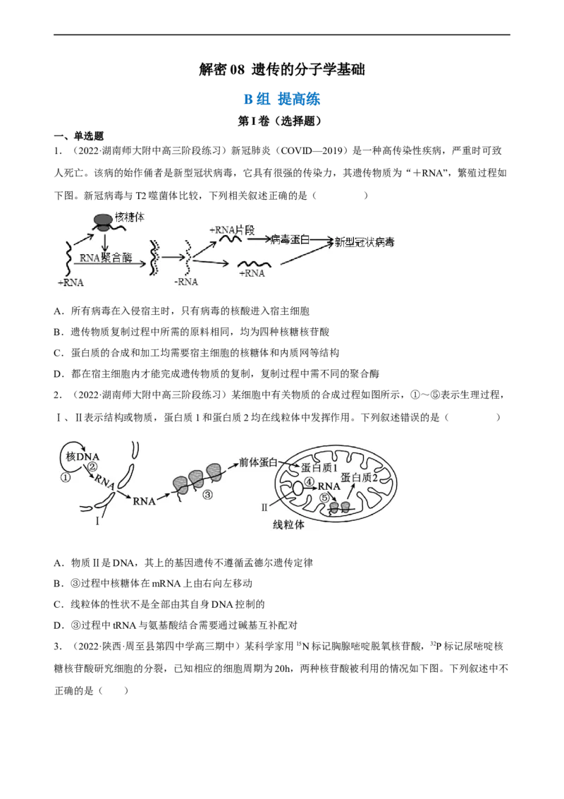 解密08遗传的分子学基础（分层训练)（原卷版）_通用版（老高考）复习资料_2023年复习资料_二轮复习_高频考点解密2023年高考生物二轮复习讲义+分层训练（全国通用）