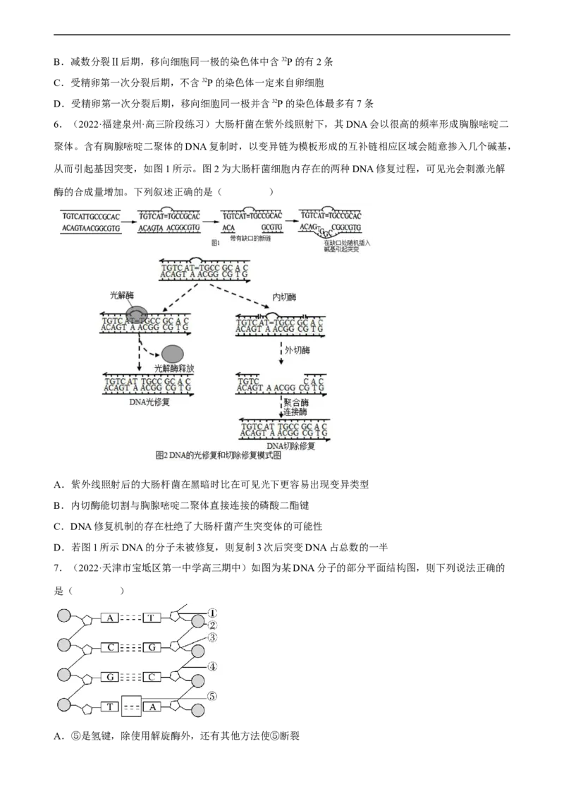 解密08遗传的分子学基础（分层训练)（原卷版）_通用版（老高考）复习资料_2023年复习资料_二轮复习_高频考点解密2023年高考生物二轮复习讲义+分层训练（全国通用）