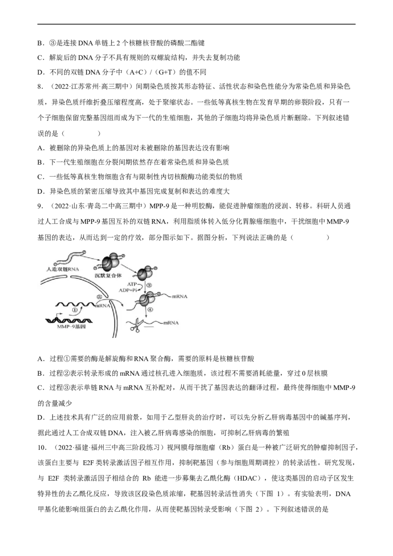 解密08遗传的分子学基础（分层训练)（原卷版）_通用版（老高考）复习资料_2023年复习资料_二轮复习_高频考点解密2023年高考生物二轮复习讲义+分层训练（全国通用）