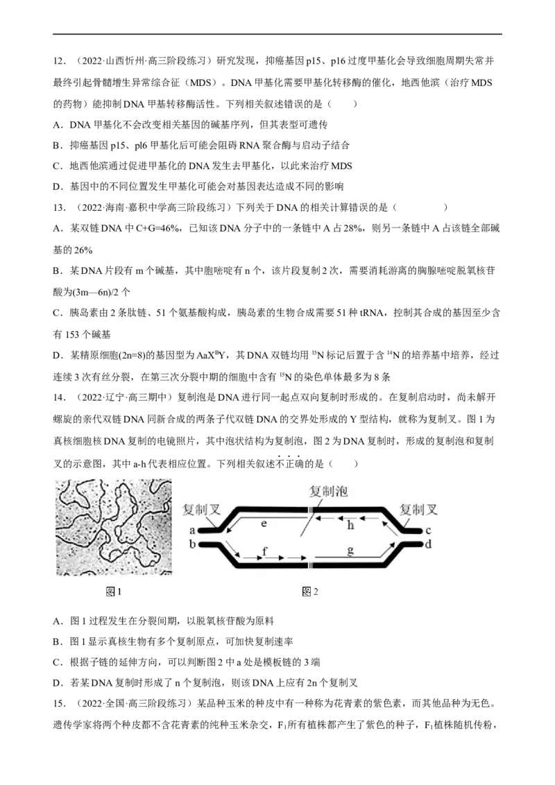 解密08遗传的分子学基础（分层训练)（原卷版）_通用版（老高考）复习资料_2023年复习资料_二轮复习_高频考点解密2023年高考生物二轮复习讲义+分层训练（全国通用）