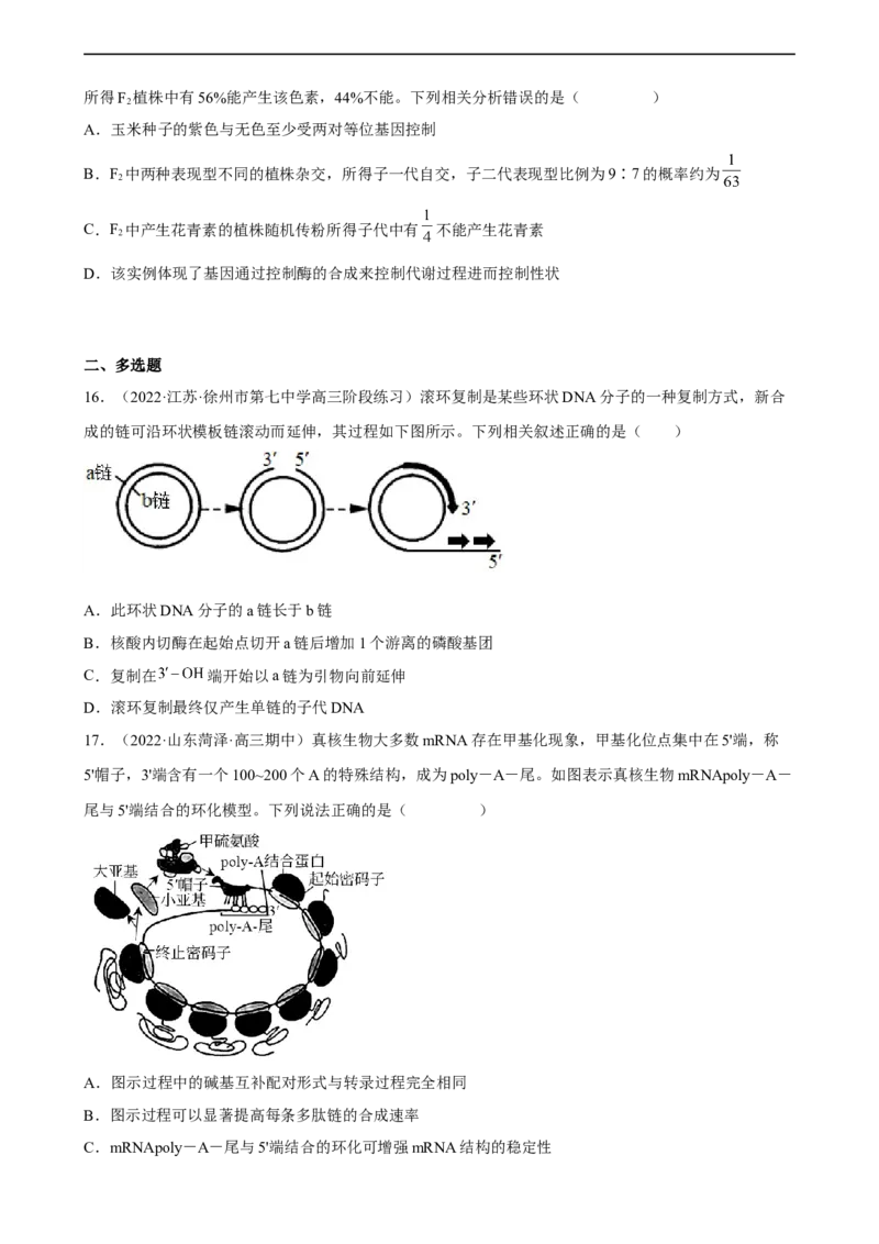 解密08遗传的分子学基础（分层训练)（原卷版）_通用版（老高考）复习资料_2023年复习资料_二轮复习_高频考点解密2023年高考生物二轮复习讲义+分层训练（全国通用）