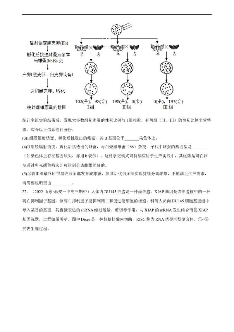 解密08遗传的分子学基础（分层训练)（原卷版）_通用版（老高考）复习资料_2023年复习资料_二轮复习_高频考点解密2023年高考生物二轮复习讲义+分层训练（全国通用）