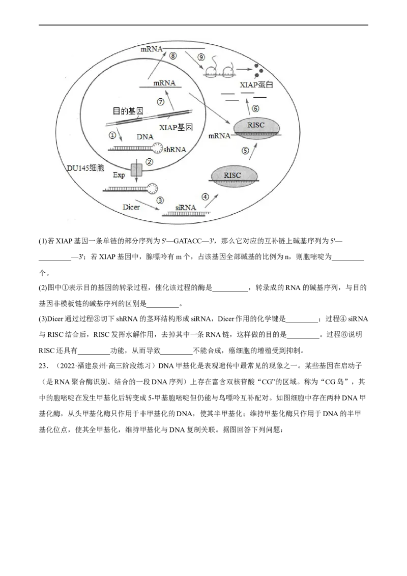 解密08遗传的分子学基础（分层训练)（原卷版）_通用版（老高考）复习资料_2023年复习资料_二轮复习_高频考点解密2023年高考生物二轮复习讲义+分层训练（全国通用）
