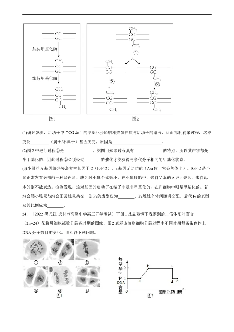 解密08遗传的分子学基础（分层训练)（原卷版）_通用版（老高考）复习资料_2023年复习资料_二轮复习_高频考点解密2023年高考生物二轮复习讲义+分层训练（全国通用）