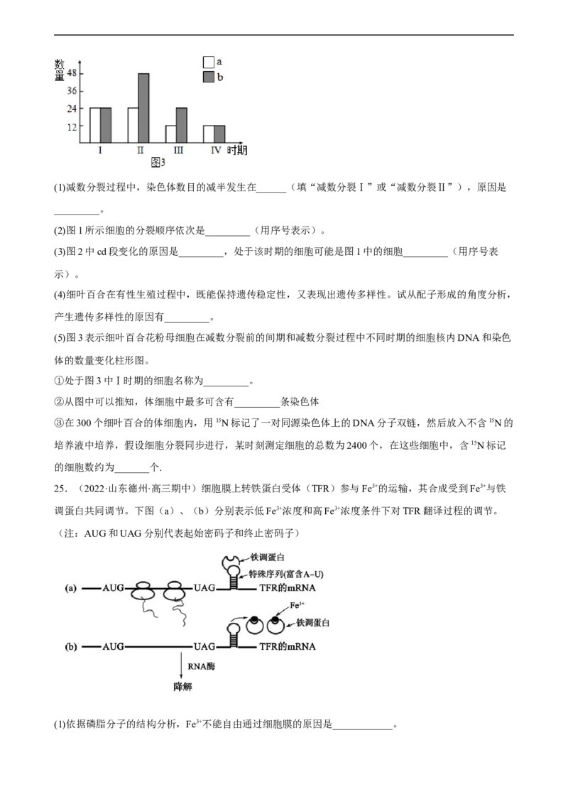 解密08遗传的分子学基础（分层训练)（原卷版）_通用版（老高考）复习资料_2023年复习资料_二轮复习_高频考点解密2023年高考生物二轮复习讲义+分层训练（全国通用）
