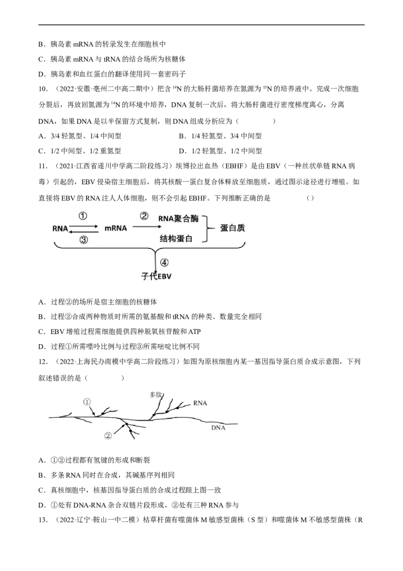 解密08遗传的分子学基础（分层训练)（原卷版）_通用版（老高考）复习资料_2023年复习资料_二轮复习_高频考点解密2023年高考生物二轮复习讲义+分层训练（全国通用）