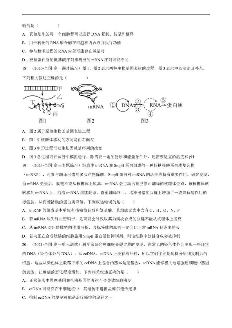 解密08遗传的分子学基础（分层训练)（原卷版）_通用版（老高考）复习资料_2023年复习资料_二轮复习_高频考点解密2023年高考生物二轮复习讲义+分层训练（全国通用）