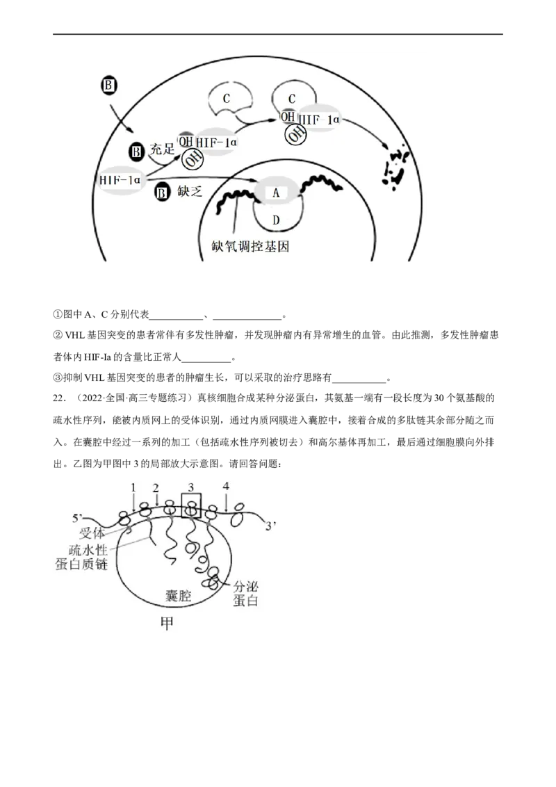 解密08遗传的分子学基础（分层训练)（原卷版）_通用版（老高考）复习资料_2023年复习资料_二轮复习_高频考点解密2023年高考生物二轮复习讲义+分层训练（全国通用）