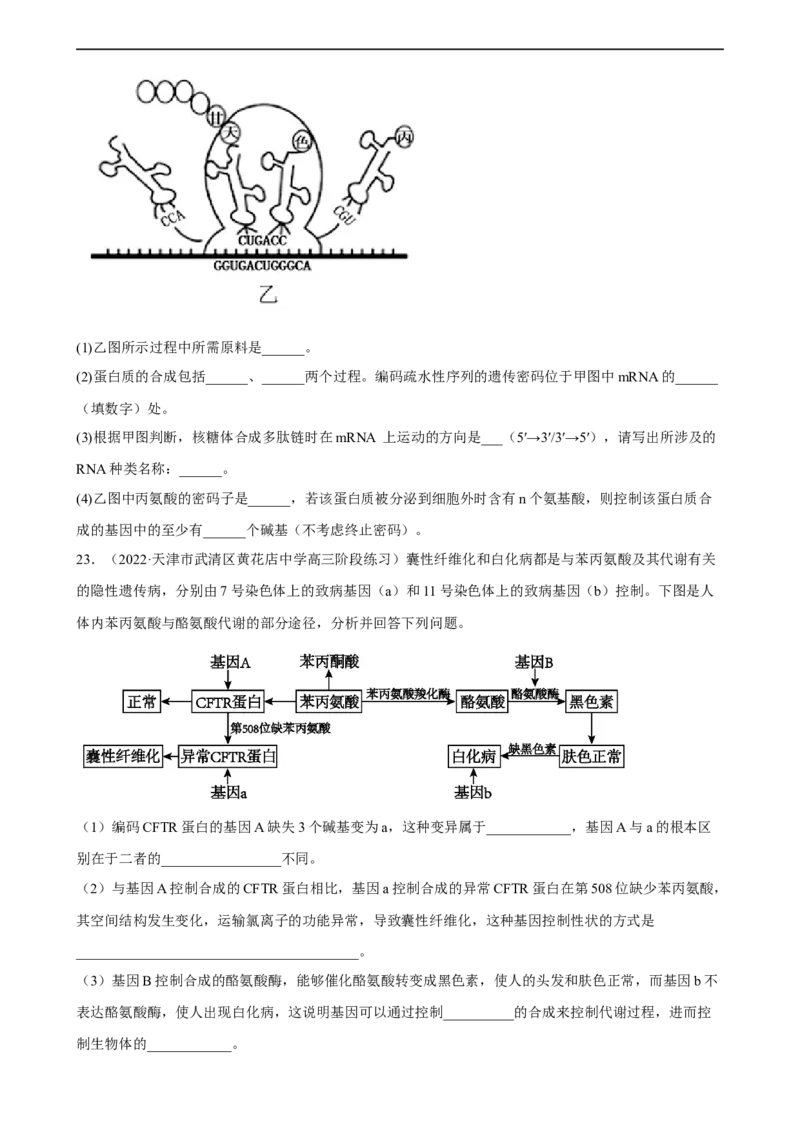 解密08遗传的分子学基础（分层训练)（原卷版）_通用版（老高考）复习资料_2023年复习资料_二轮复习_高频考点解密2023年高考生物二轮复习讲义+分层训练（全国通用）
