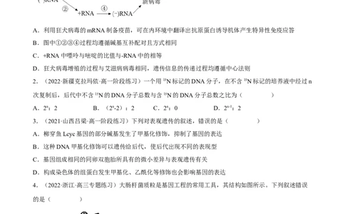 解密08遗传的分子学基础（分层训练)（原卷版）_通用版（老高考）复习资料_2023年复习资料_二轮复习_高频考点解密2023年高考生物二轮复习讲义+分层训练（全国通用）