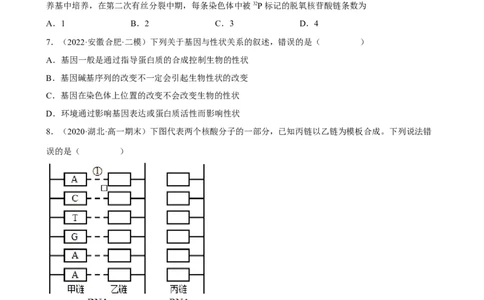 解密08遗传的分子学基础（分层训练)（原卷版）_通用版（老高考）复习资料_2023年复习资料_二轮复习_高频考点解密2023年高考生物二轮复习讲义+分层训练（全国通用）