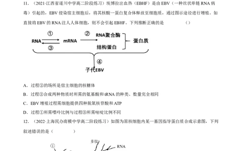 解密08遗传的分子学基础（分层训练)（原卷版）_通用版（老高考）复习资料_2023年复习资料_二轮复习_高频考点解密2023年高考生物二轮复习讲义+分层训练（全国通用）