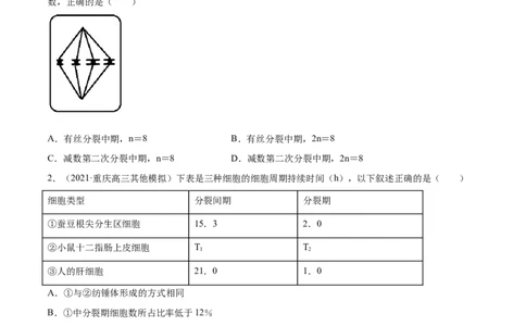 解密08有丝分裂和减数分裂（分层训练）（原卷版）_新高考复习资料_2021年新高考资料_高频考点解密2021年高考生物二轮复习讲义+分层训练4.7更新