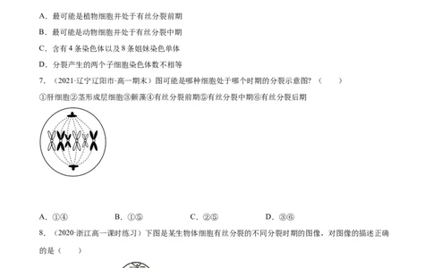 解密08有丝分裂和减数分裂（分层训练）（原卷版）_新高考复习资料_2021年新高考资料_高频考点解密2021年高考生物二轮复习讲义+分层训练4.7更新