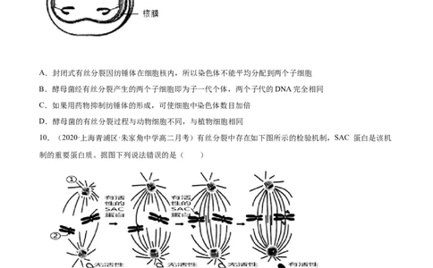 解密08有丝分裂和减数分裂（分层训练）（原卷版）_新高考复习资料_2021年新高考资料_高频考点解密2021年高考生物二轮复习讲义+分层训练4.7更新