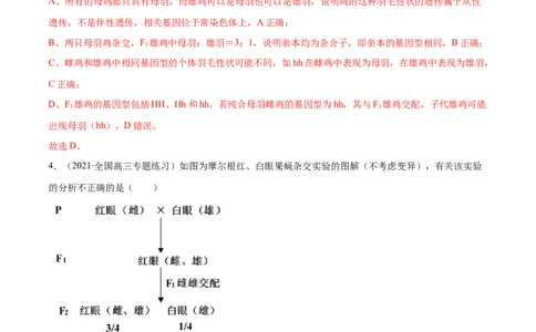 解密12人类遗传病及伴性遗传（分层训练）（解析版）_新高考复习资料_2021年新高考资料_高频考点解密2021年高考生物二轮复习讲义+分层训练4.7更新