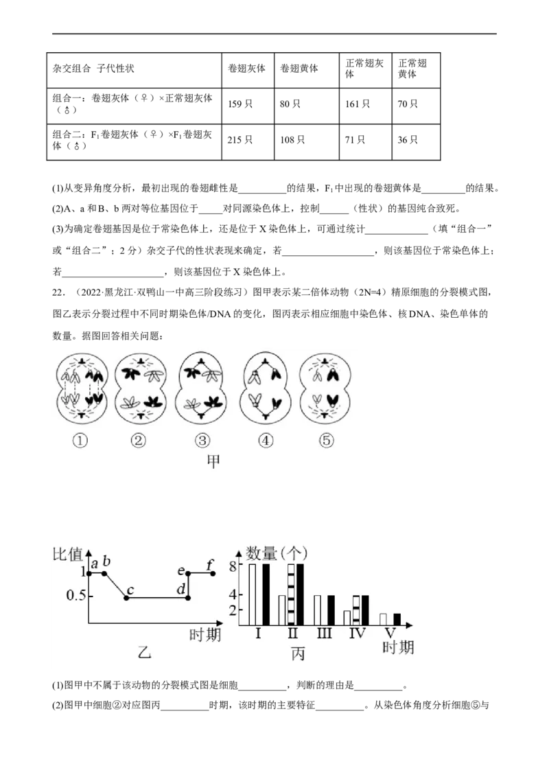 解密07遗传的细胞学基础（分层训练)（原卷版）_通用版（老高考）复习资料_2023年复习资料_二轮复习_高频考点解密2023年高考生物二轮复习讲义+分层训练（全国通用）