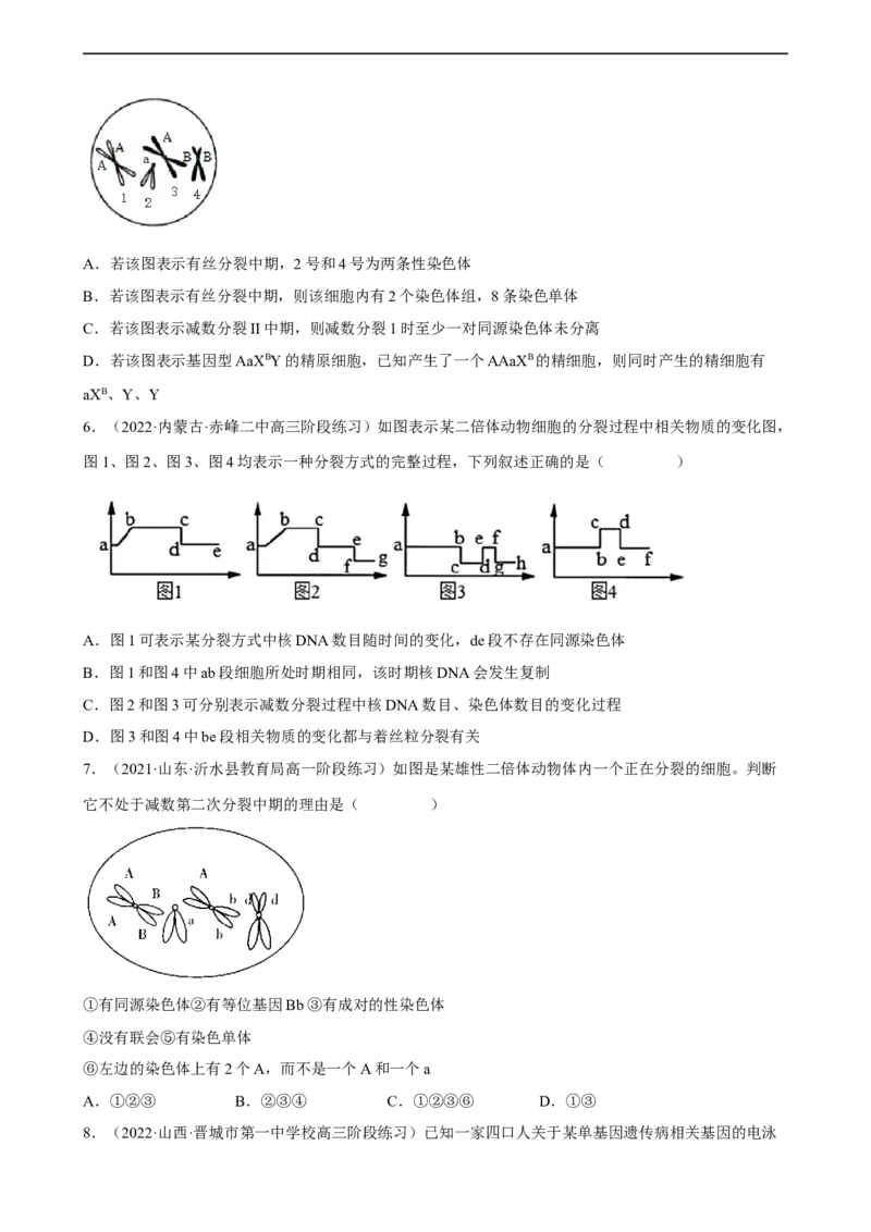 解密07遗传的细胞学基础（分层训练)（原卷版）_通用版（老高考）复习资料_2023年复习资料_二轮复习_高频考点解密2023年高考生物二轮复习讲义+分层训练（全国通用）