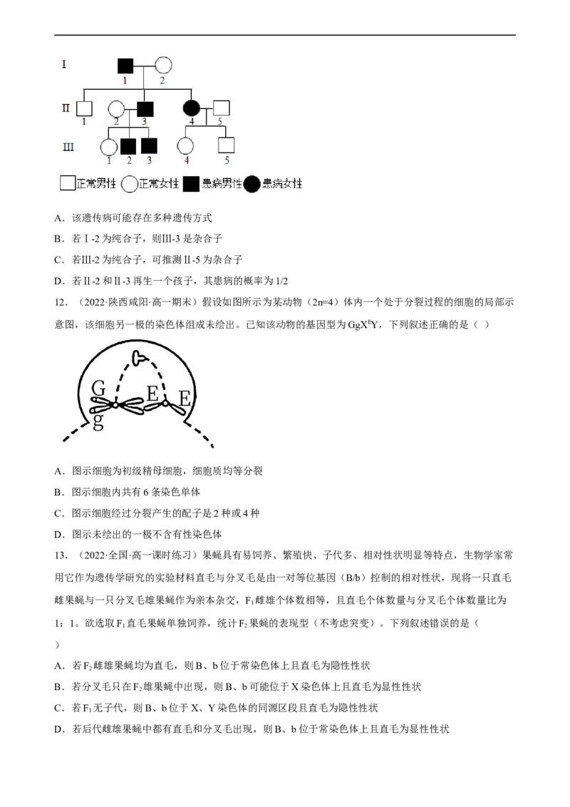 解密07遗传的细胞学基础（分层训练)（原卷版）_通用版（老高考）复习资料_2023年复习资料_二轮复习_高频考点解密2023年高考生物二轮复习讲义+分层训练（全国通用）