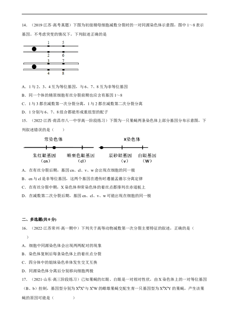 解密07遗传的细胞学基础（分层训练)（原卷版）_通用版（老高考）复习资料_2023年复习资料_二轮复习_高频考点解密2023年高考生物二轮复习讲义+分层训练（全国通用）