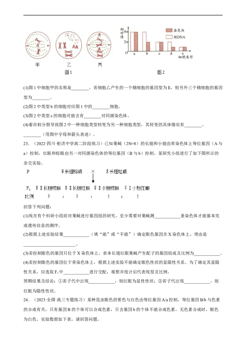 解密07遗传的细胞学基础（分层训练)（原卷版）_通用版（老高考）复习资料_2023年复习资料_二轮复习_高频考点解密2023年高考生物二轮复习讲义+分层训练（全国通用）