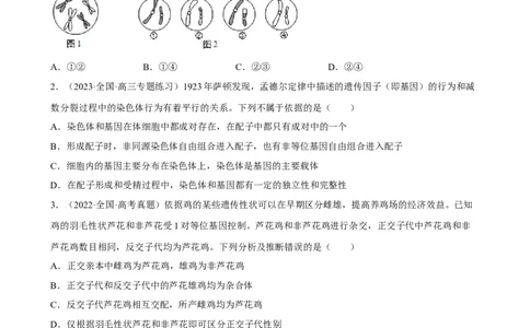 解密07遗传的细胞学基础（分层训练)（原卷版）_通用版（老高考）复习资料_2023年复习资料_二轮复习_高频考点解密2023年高考生物二轮复习讲义+分层训练（全国通用）