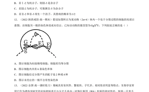 解密07遗传的细胞学基础（分层训练)（原卷版）_通用版（老高考）复习资料_2023年复习资料_二轮复习_高频考点解密2023年高考生物二轮复习讲义+分层训练（全国通用）