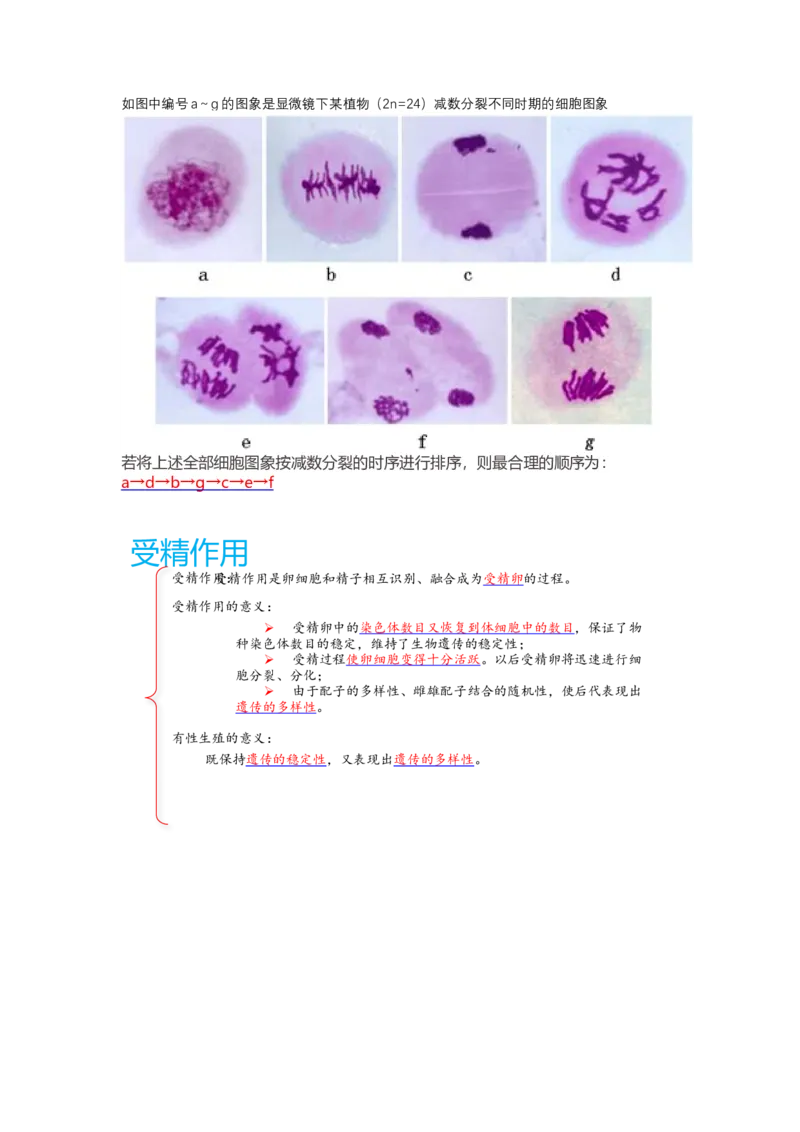 解密07遗传的细胞学基础（讲义)（学生版）_新高考复习资料_2023年新高考复习资料_二轮复习_高频考点解密2023年高考生物二轮复习讲义+分层训练（全国通用）288808838