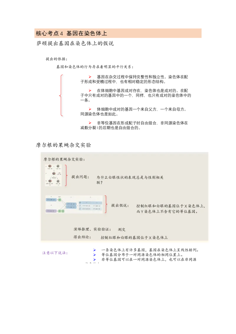 解密07遗传的细胞学基础（讲义)（学生版）_新高考复习资料_2023年新高考复习资料_二轮复习_高频考点解密2023年高考生物二轮复习讲义+分层训练（全国通用）288808838