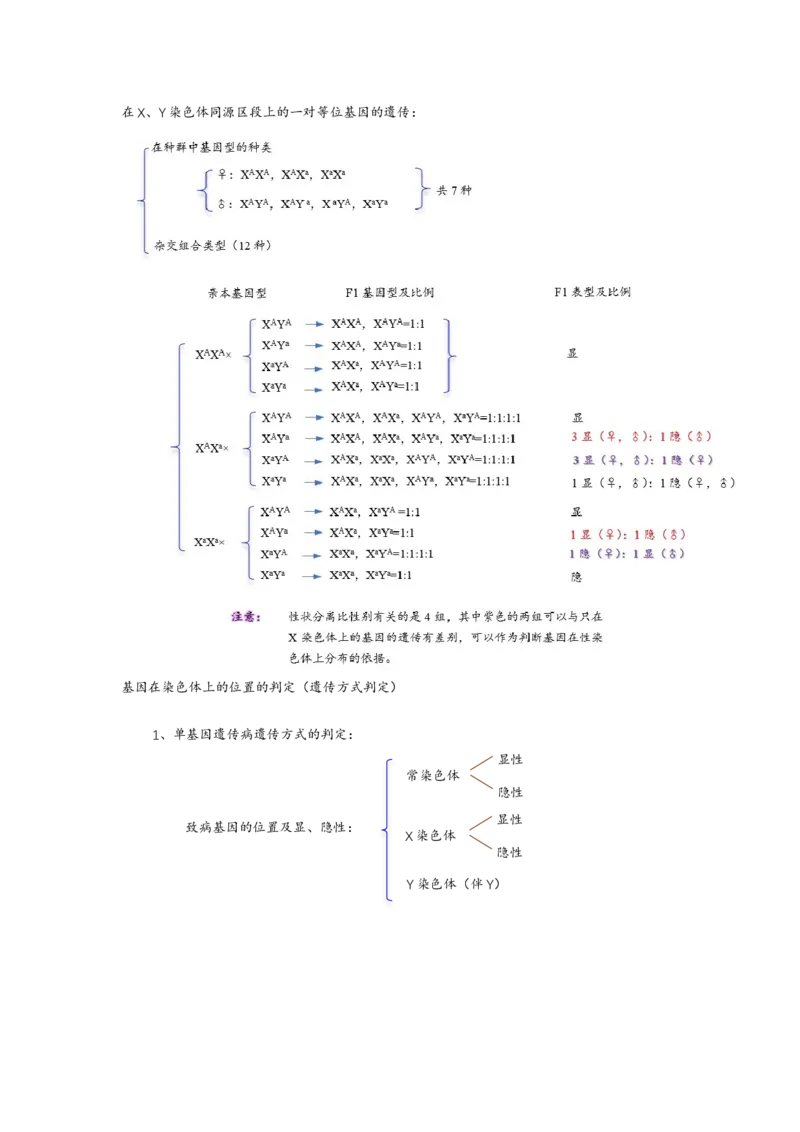解密07遗传的细胞学基础（讲义)（学生版）_新高考复习资料_2023年新高考复习资料_二轮复习_高频考点解密2023年高考生物二轮复习讲义+分层训练（全国通用）288808838