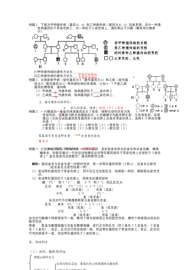 解密07遗传的细胞学基础（讲义)（学生版）_新高考复习资料_2023年新高考复习资料_二轮复习_高频考点解密2023年高考生物二轮复习讲义+分层训练（全国通用）288808838
