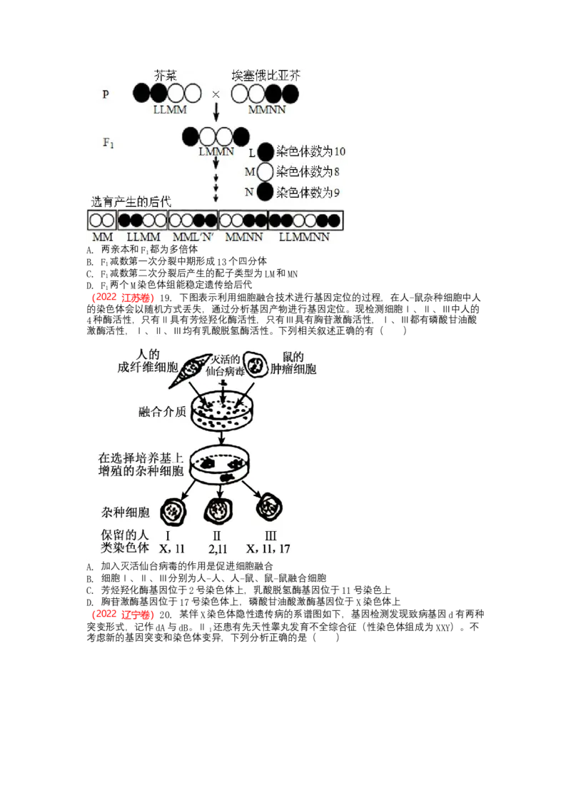 解密07遗传的细胞学基础（讲义)（学生版）_新高考复习资料_2023年新高考复习资料_二轮复习_高频考点解密2023年高考生物二轮复习讲义+分层训练（全国通用）288808838