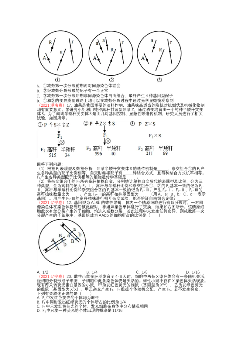 解密07遗传的细胞学基础（讲义)（学生版）_新高考复习资料_2023年新高考复习资料_二轮复习_高频考点解密2023年高考生物二轮复习讲义+分层训练（全国通用）288808838