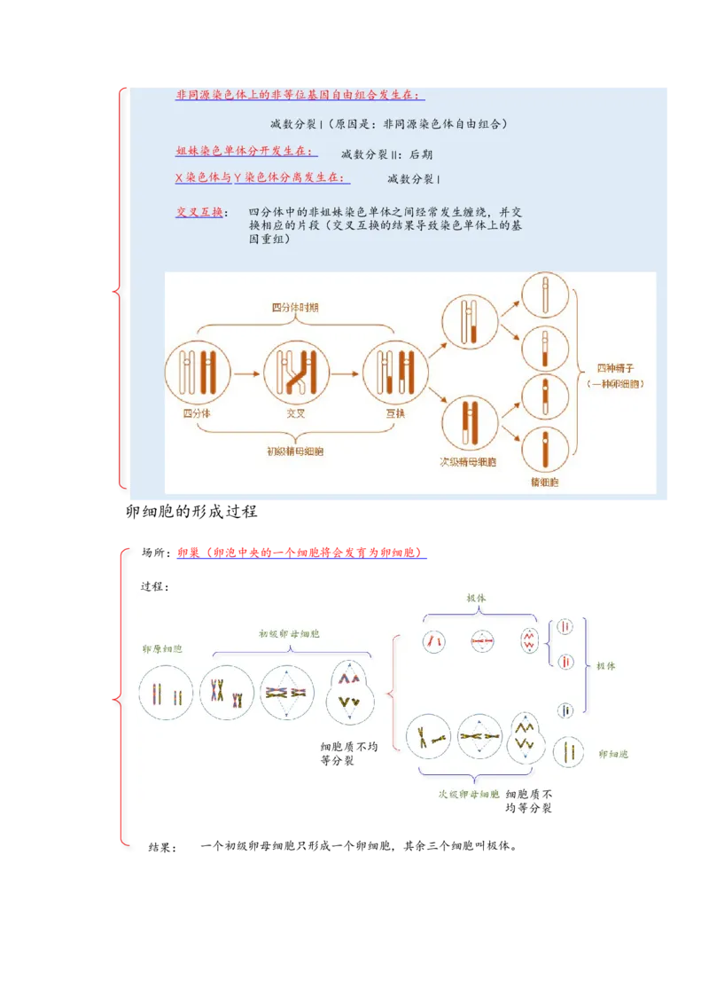 解密07遗传的细胞学基础（讲义)（学生版）_新高考复习资料_2023年新高考复习资料_二轮复习_高频考点解密2023年高考生物二轮复习讲义+分层训练（全国通用）288808838