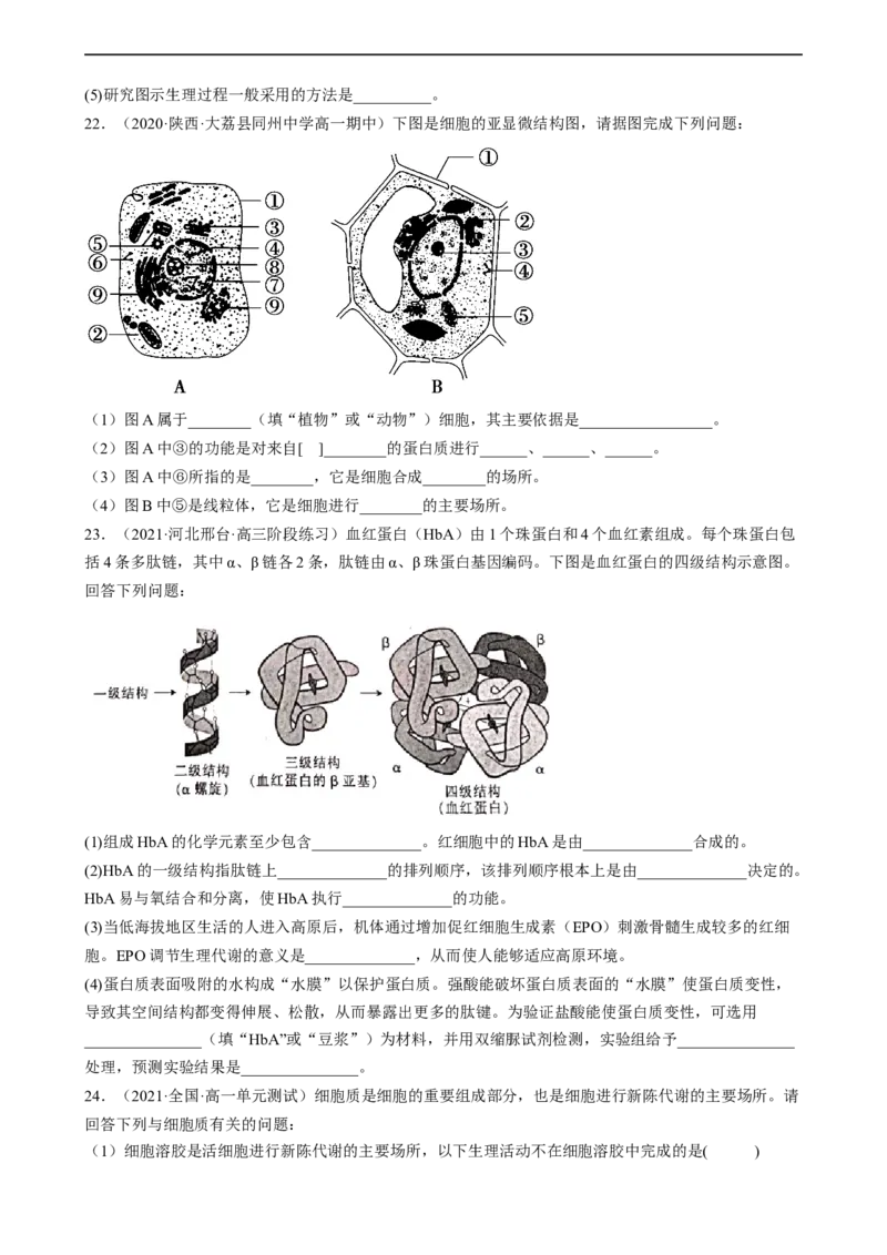 解密02细胞的基本结构（分层训练)（原卷版）_通用版（老高考）复习资料_2023年复习资料_二轮复习_高频考点解密2023年高考生物二轮复习讲义+分层训练（全国通用）