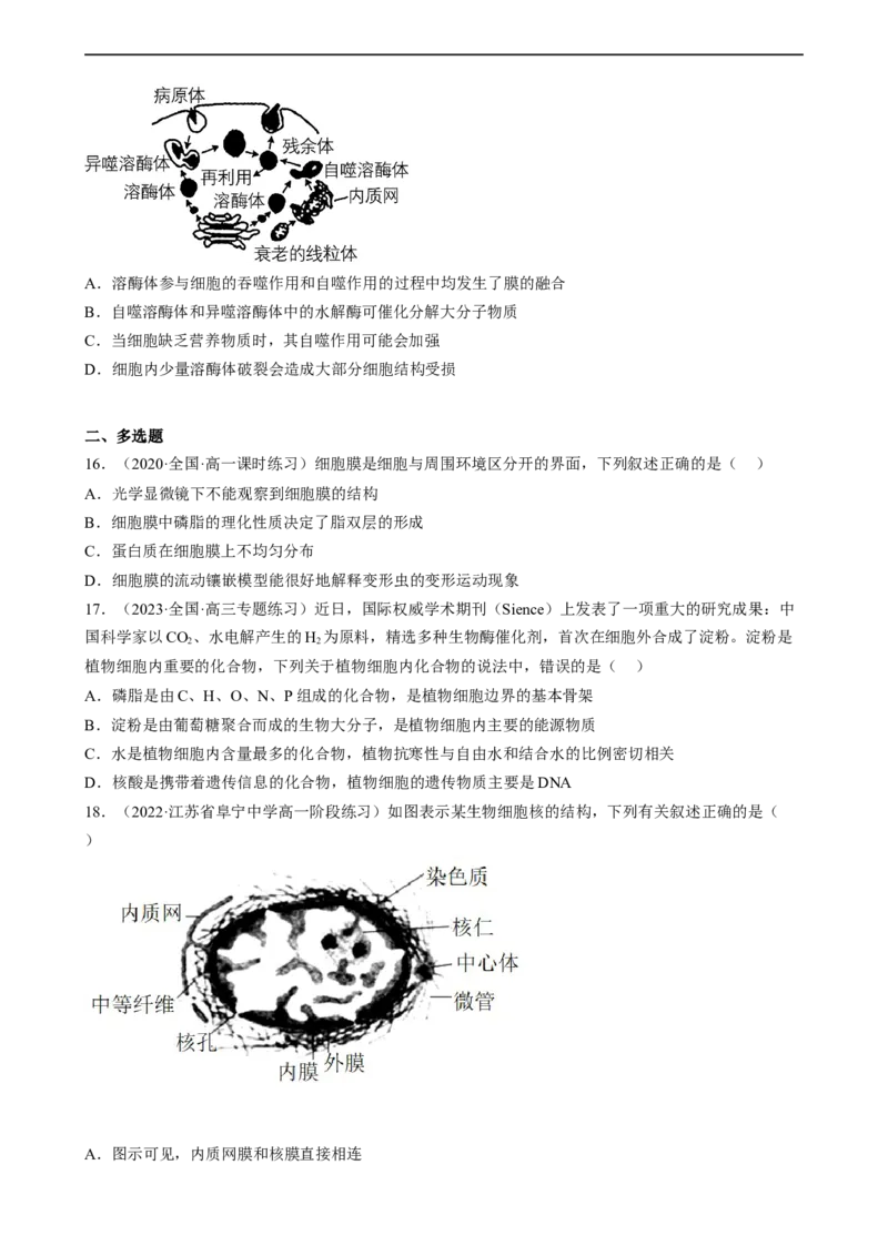 解密02细胞的基本结构（分层训练)（原卷版）_通用版（老高考）复习资料_2023年复习资料_二轮复习_高频考点解密2023年高考生物二轮复习讲义+分层训练（全国通用）