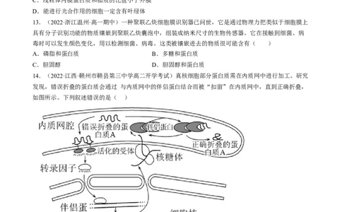 解密02细胞的基本结构（分层训练)（原卷版）_通用版（老高考）复习资料_2023年复习资料_二轮复习_高频考点解密2023年高考生物二轮复习讲义+分层训练（全国通用）