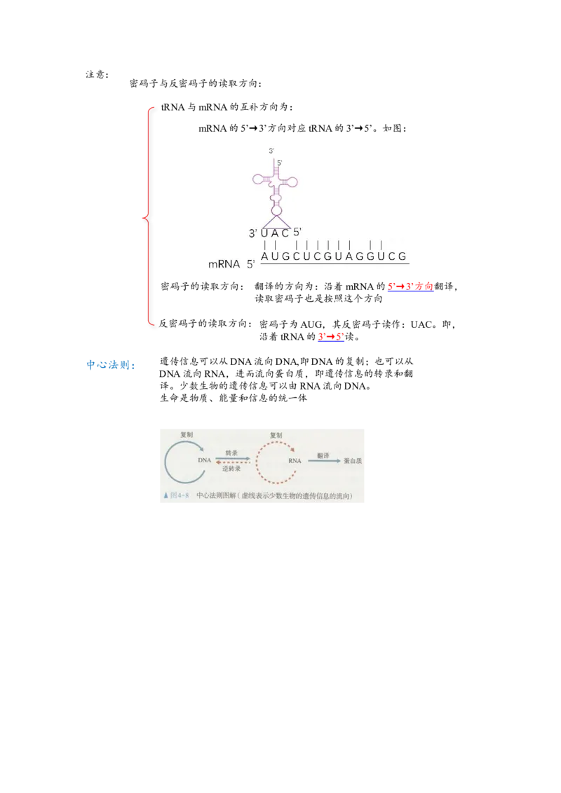 解密08遗传的分子学基础（讲义)（教师版）_新高考复习资料_2023年新高考复习资料_二轮复习_高频考点解密2023年高考生物二轮复习讲义+分层训练（全国通用）288808838