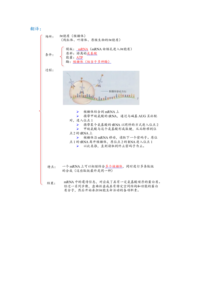 解密08遗传的分子学基础（讲义)（教师版）_新高考复习资料_2023年新高考复习资料_二轮复习_高频考点解密2023年高考生物二轮复习讲义+分层训练（全国通用）288808838