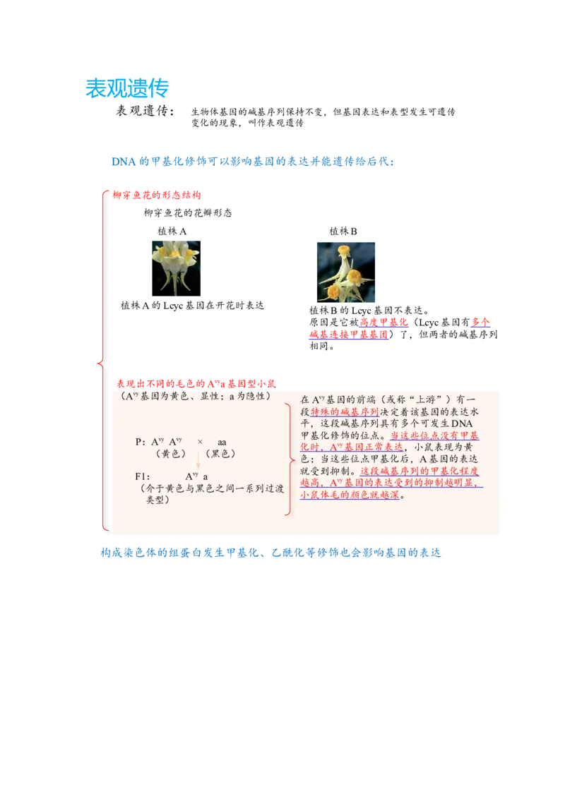 解密08遗传的分子学基础（讲义)（教师版）_新高考复习资料_2023年新高考复习资料_二轮复习_高频考点解密2023年高考生物二轮复习讲义+分层训练（全国通用）288808838