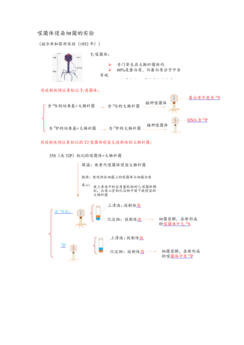 解密08遗传的分子学基础（讲义)（教师版）_新高考复习资料_2023年新高考复习资料_二轮复习_高频考点解密2023年高考生物二轮复习讲义+分层训练（全国通用）288808838