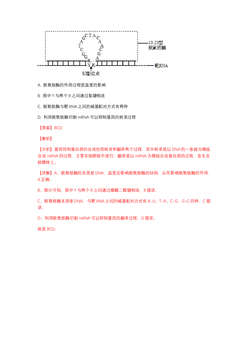 解密08遗传的分子学基础（讲义)（教师版）_新高考复习资料_2023年新高考复习资料_二轮复习_高频考点解密2023年高考生物二轮复习讲义+分层训练（全国通用）288808838