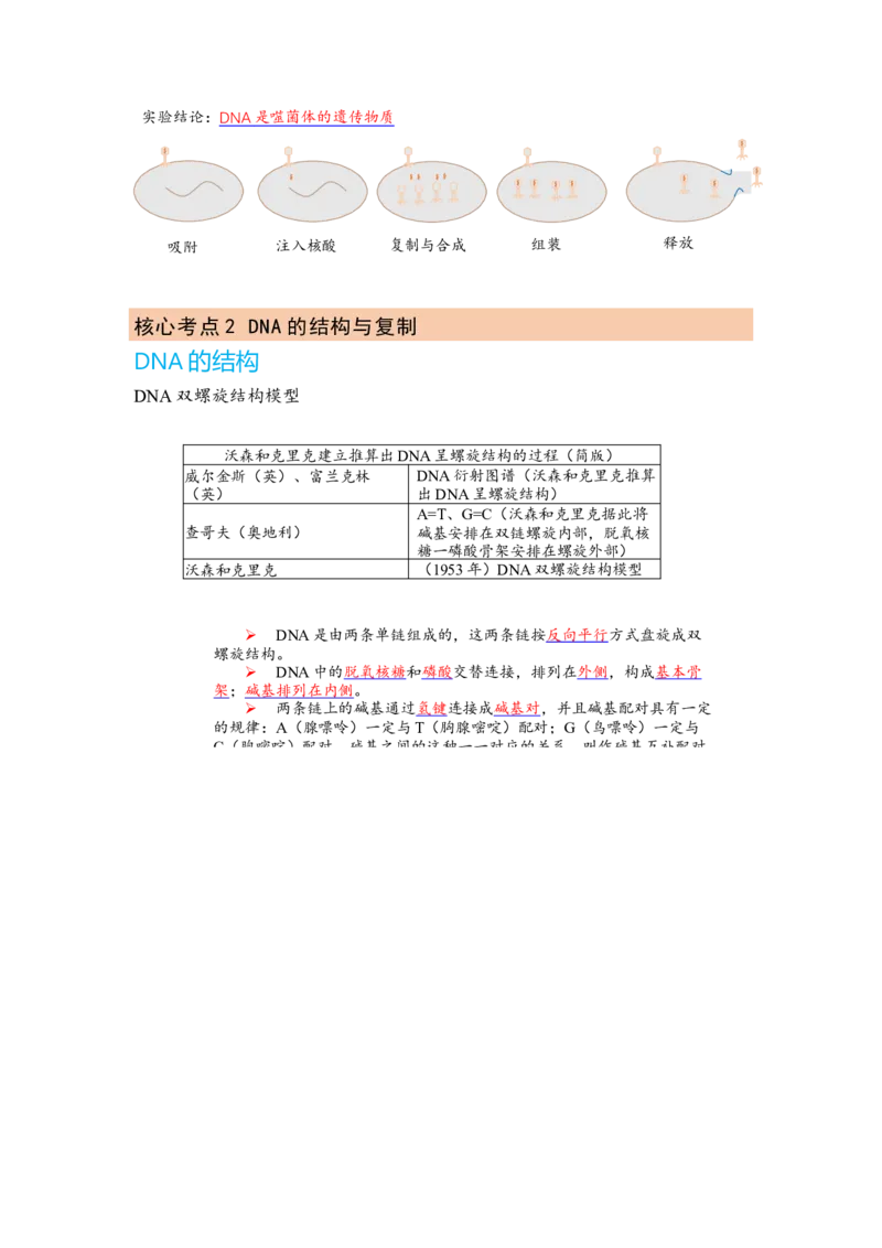 解密08遗传的分子学基础（讲义)（教师版）_新高考复习资料_2023年新高考复习资料_二轮复习_高频考点解密2023年高考生物二轮复习讲义+分层训练（全国通用）288808838
