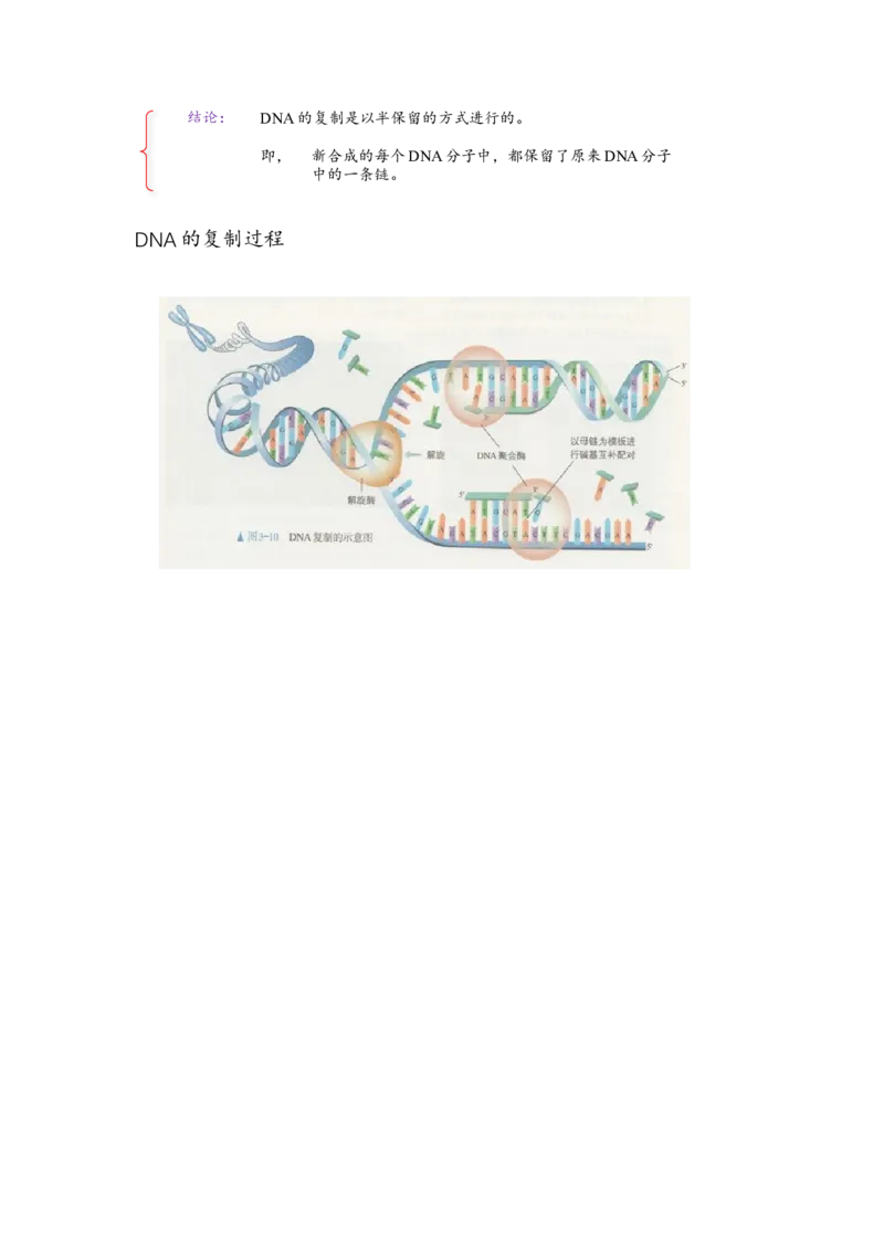 解密08遗传的分子学基础（讲义)（教师版）_新高考复习资料_2023年新高考复习资料_二轮复习_高频考点解密2023年高考生物二轮复习讲义+分层训练（全国通用）288808838